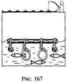 Школа выживания в природных условиях - pic_160.jpg