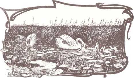 Богатыри и витязи Русской земли. Образцовые сказки русских писателей - i_048.jpg