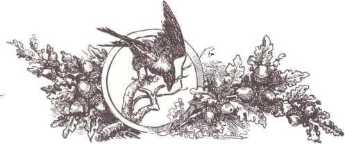 Богатыри и витязи Русской земли. Образцовые сказки русских писателей - i_065.jpg