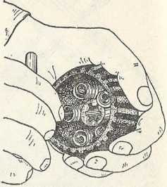 Советы сельскому мотоциклисту<br />(Справочное пособие) - i_058.jpg