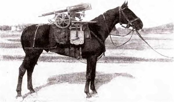 Штурм Карпат<br />(Зима 1915 года) - i_035.jpg