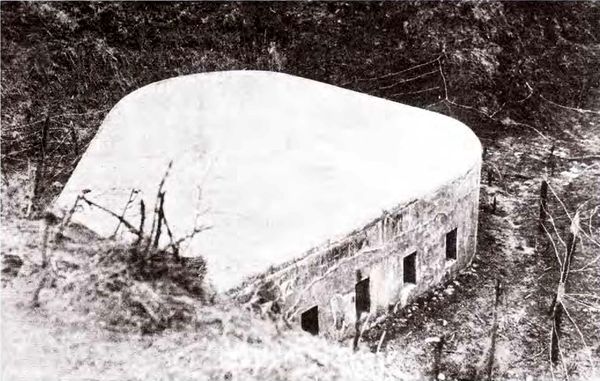 Штурм Карпат<br />(Зима 1915 года) - i_047.jpg