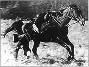 Загадки казацких характерников - i_032.jpg