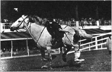 Загадки казацких характерников - i_037.jpg