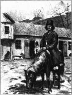 Загадки казацких характерников - i_324.jpg