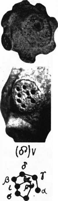 Загадки казацких характерников - i_400.jpg