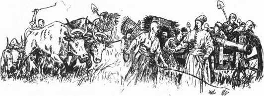 Загадки казацких характерников - i_437.jpg