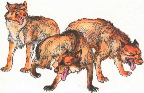 Сказки Италии<br />(Сказки для детей) - i_018.jpg