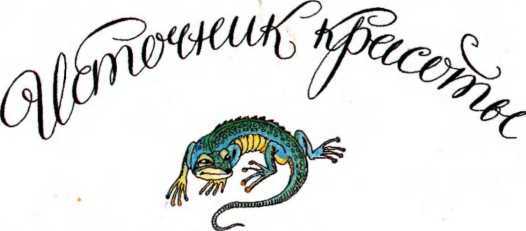 Сказки Италии<br />(Сказки для детей) - i_020.jpg