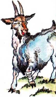 Сказки Италии<br />(Сказки для детей) - i_023.jpg