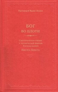 Бог во плоти. Святоотеческое учение о человеческой природе Господа нашего Иисуса Христа - Леонов Вадим