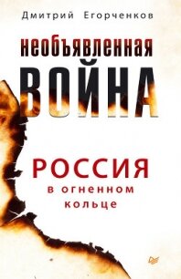 Необъявленная война. Россия в огненном кольце - Егорченков Дмитрий