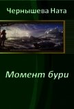 Момент бури (СИ) - Чернышева Ната