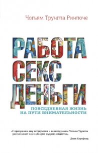 Работа, секс, деньги. Повседневная жизнь на пути внимательности - Ринпоче Чогьям