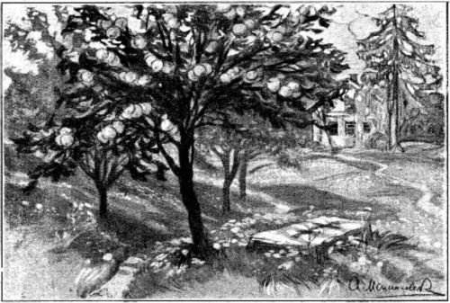 Ярчук — собака-духовидец<br />(Книга о ярчуках) - i_012.jpg