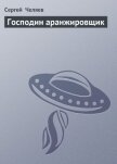 Господин аранжировщик - Челяев Сергей