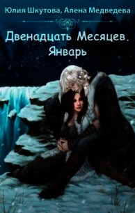 Двенадцать месяцев. Январь(СИ) - Медведева Алена Викторовна