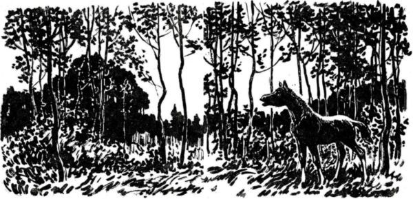 Латуня - i_011.jpg