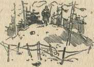 Бои на Карельском перешейке - i_114.jpg