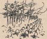 Бои на Карельском перешейке - i_136.jpg