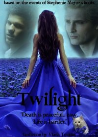 Сумерки (СИ) - Товкун Влада "Vlada Tovkun"