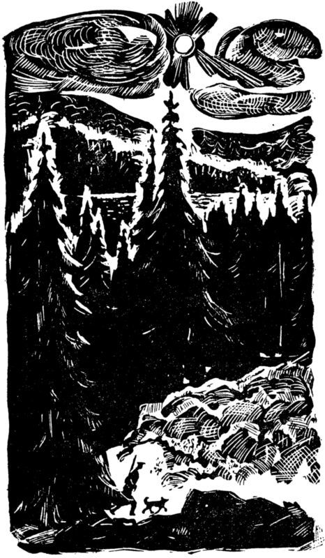 Долина роз<br />(Приключенческая повесть) - i_006.jpg