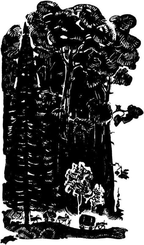 Долина роз<br />(Приключенческая повесть) - i_008.jpg