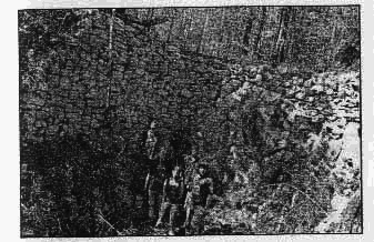 Справочник сталкера. Азбука выживания - any2fbimgloader66.png