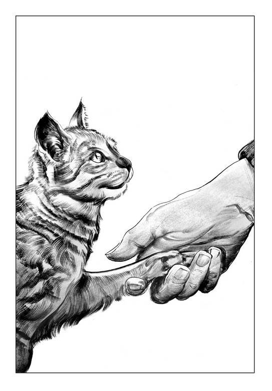 План Б - i_002.jpg