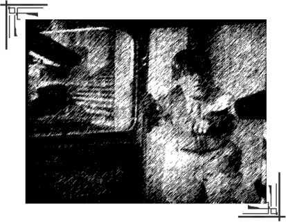 Метрополис. Индийская гробница<br />(Романы) - i_013.jpg