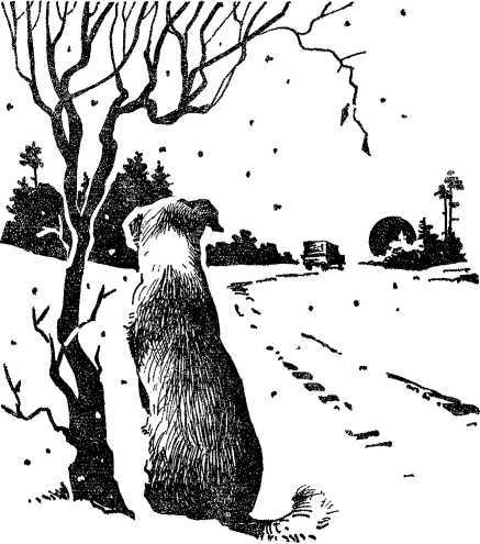 Твой друг<br />(Сборник) - i_010.jpg