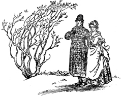 Племянник чародея (с иллюстрациями) - pic25.jpg