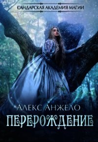 Сандарская академия магии. Перерождение (СИ) - Анжело Алекс