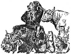 Последняя битва (с иллюстрациями) - pic08.jpg