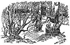 Последняя битва (с иллюстрациями) - pic19.jpg