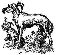 Последняя битва (с иллюстрациями) - pic33.jpg