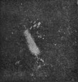 Начало и конец мира - i_011.jpg