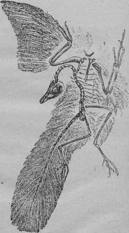 Начало и конец мира - i_024.jpg