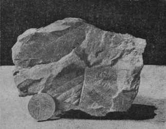 Начало и конец мира - i_025.jpg