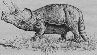 Начало и конец мира - i_026.jpg