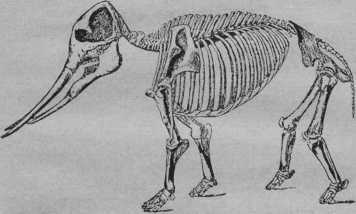 Начало и конец мира - i_027.jpg