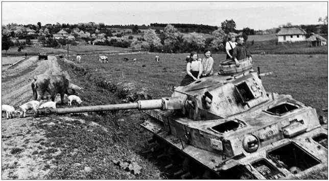 Танки III Рейха. Том II<br />(Самая полная энциклопедия) - i_195.jpg