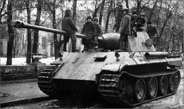 Танки III Рейха. Том II<br />(Самая полная энциклопедия) - i_278.jpg