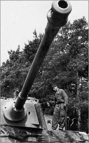 Танки III Рейха. Том III - i_197.jpg