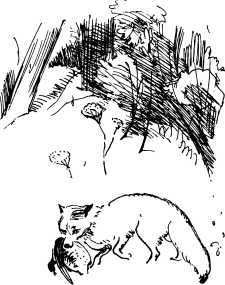 Лесные сторожа<br />(Повесть и рассказы) - i_014.jpg