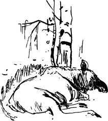 Лесные сторожа<br />(Повесть и рассказы) - i_015.jpg