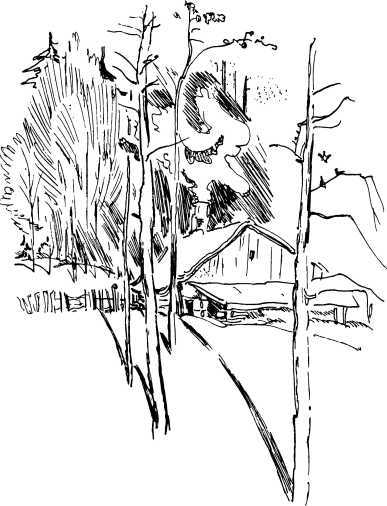 Лесные сторожа<br />(Повесть и рассказы) - i_016.jpg