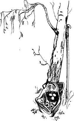 Лесные сторожа<br />(Повесть и рассказы) - i_026.jpg