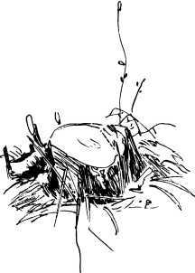 Лесные сторожа<br />(Повесть и рассказы) - i_028.jpg