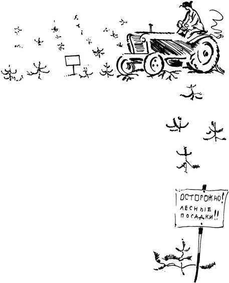 Лесные сторожа<br />(Повесть и рассказы) - i_030.jpg